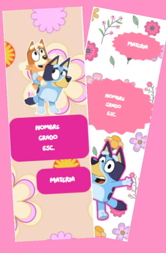 Franjas para libreta